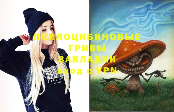 мяу мяу мука Алзамай